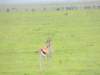 dscn5195_small.jpg