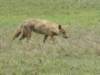 dscn5207_small.jpg