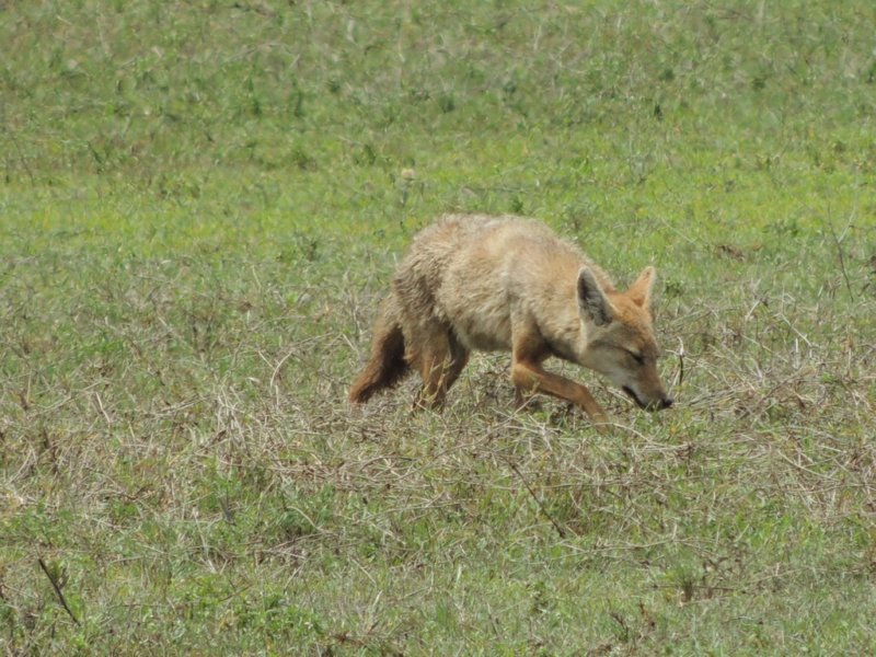 dscn5208.jpg