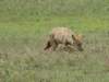 dscn5208_small.jpg