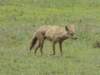dscn5210_small.jpg