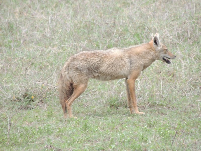 dscn5216.jpg