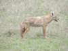 dscn5216_small.jpg