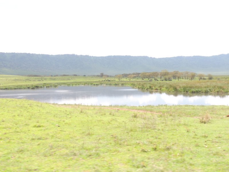 dscn5226.jpg