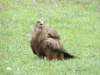 dscn5263_small.jpg