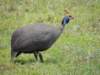 dscn5282_small.jpg