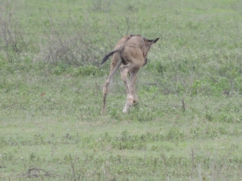 dscn5292.jpg