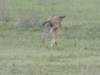 dscn5292_small.jpg