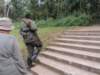 headingintotheforestforchimpanzeetracking_small.jpg