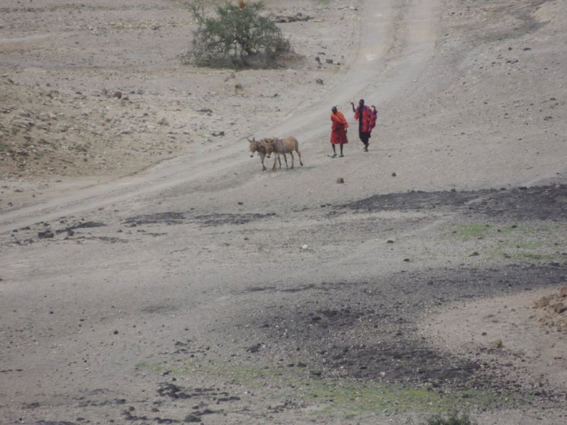 maasaiandtheirdonkeysinolduvaigorge.jpg