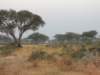 morescenesmurchisonfallsnp_small.jpg
