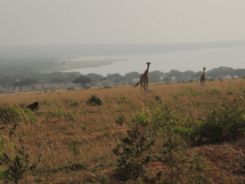 overlookingndutu.jpg