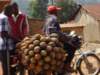 pineapplesonthewaytothemarket_small.jpg