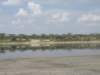 thelakeatndutu_small.jpg